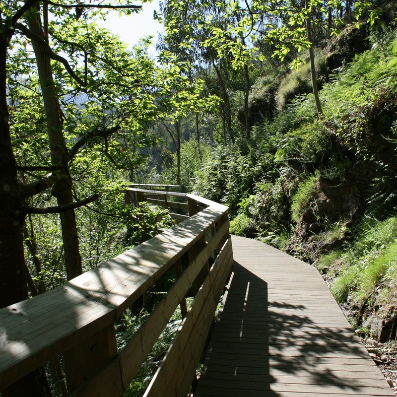 Passerelles de Paiva